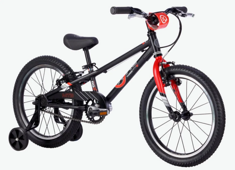 ByK E-350 x1 MTB Kids Mountain Bike Black/ Red